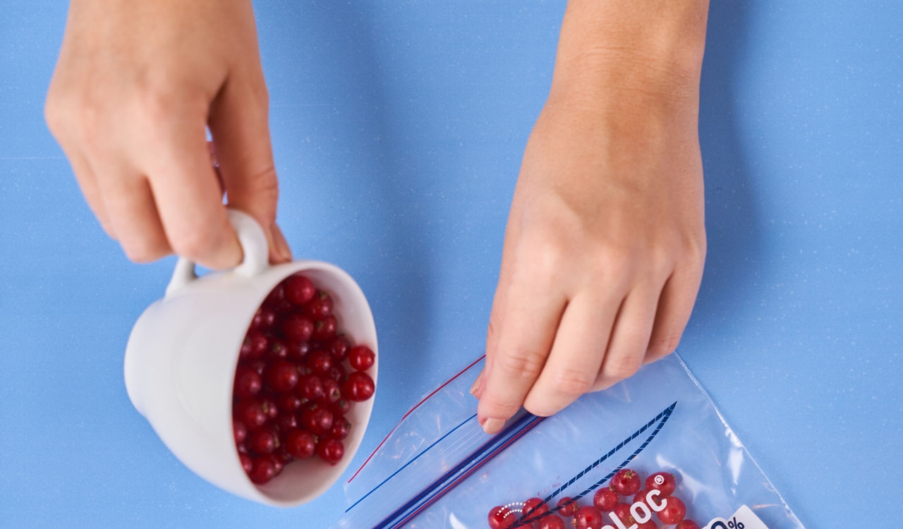 Rote Johannisbeeren werden in einen Toppits Gefrierbeutel auf blauem Untergrund gefüllt.