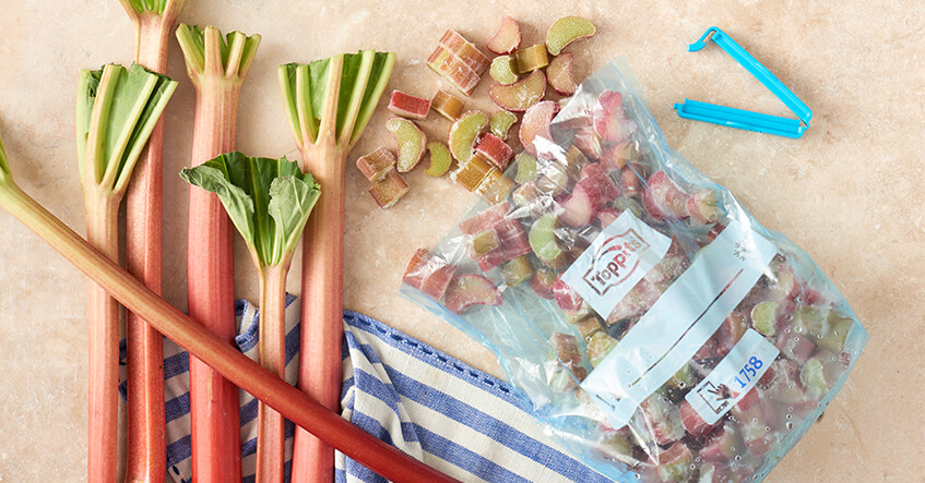 Gefrorene Rhabarberstücke in Toppits Beutel neben frischem Rhabarber und Clipverschluss.